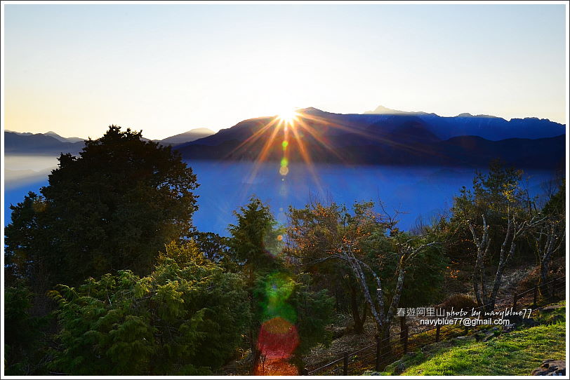 阿里山攝手旅行20.JPG