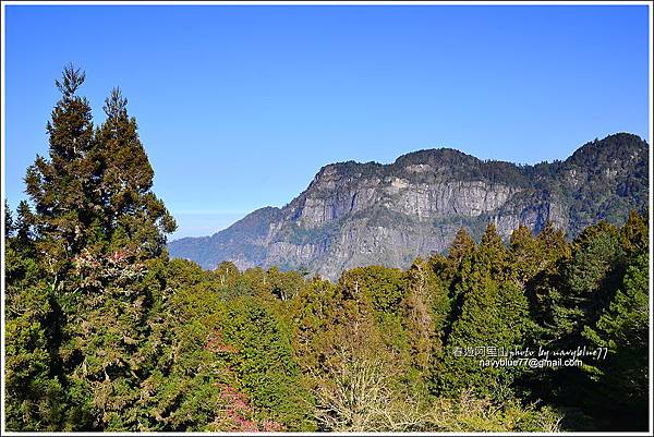 阿里山攝手旅行24.JPG