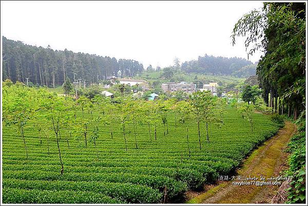 嘉義頂湖-大凍山07.JPG