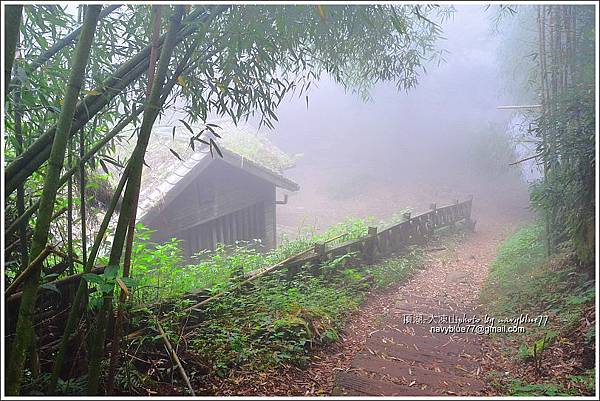 嘉義頂湖-大凍山26.JPG