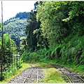 阿里山十字路-得恩亞納步道O形