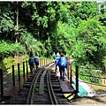 阿里山十字路-得恩亞納步道O形