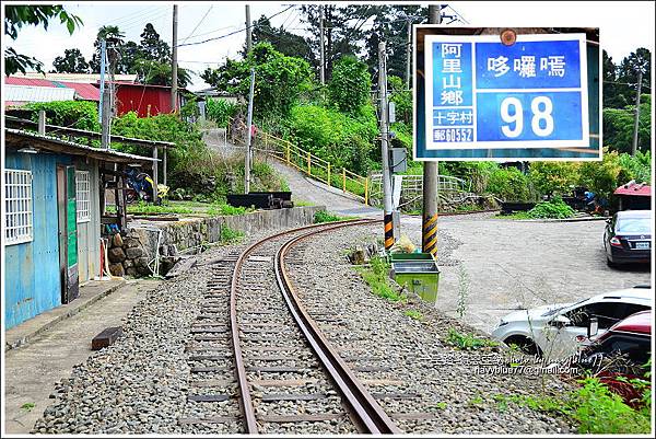 阿里山十字路-得恩亞納步道O形