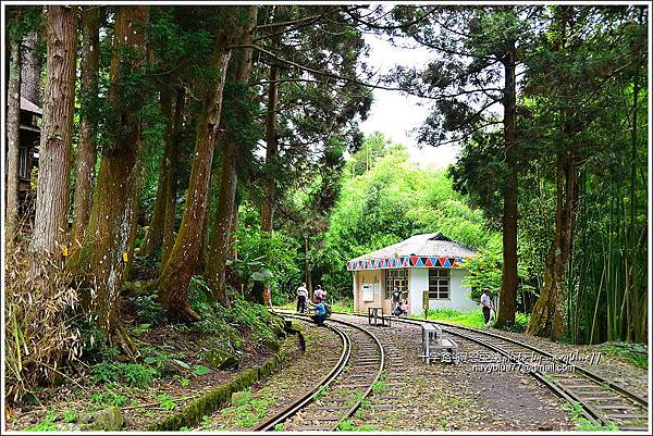 阿里山十字路-得恩亞納步道O形