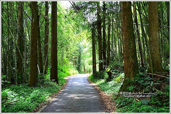 阿里山十字路-得恩亞納步道O形