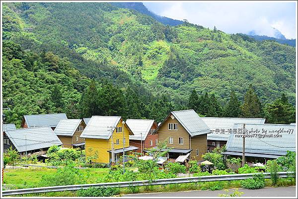 阿里山十字路-得恩亞納步道O形