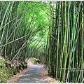 阿里山十字路-得恩亞納步道O形