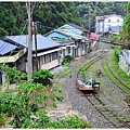 阿里山十字路-得恩亞納步道O形