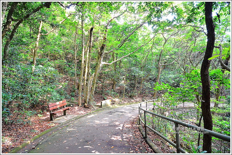 香港薄扶林-山頂步道