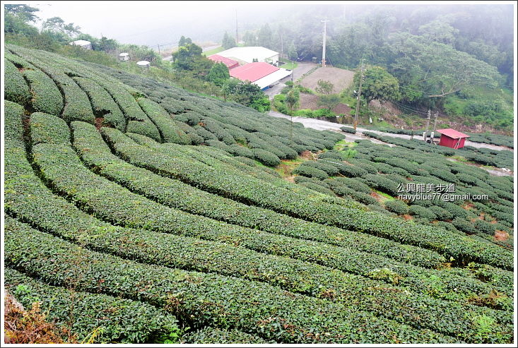 公興龍美步道