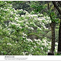 wufon06.jpg