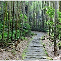 迷糊步道-福山古道