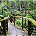 迷糊步道-福山古道