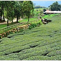 迷糊步道-福山古道