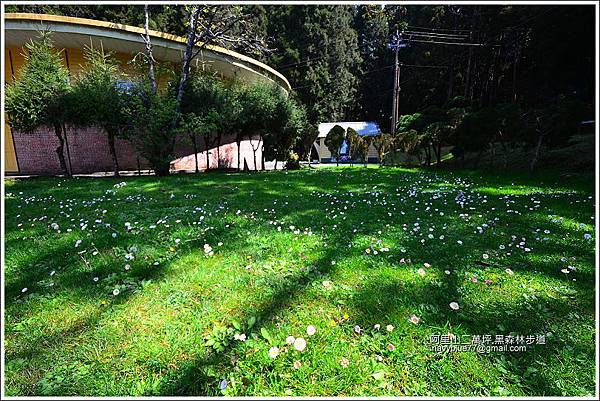 二萬坪黑森林步道