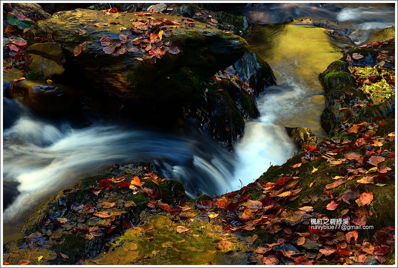 碧綠溪賞楓(下游) 碧綠溪賞楓(下游)