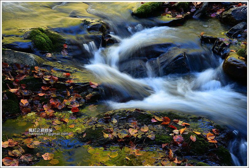 碧綠溪賞楓(下游) 碧綠溪賞楓(下游)