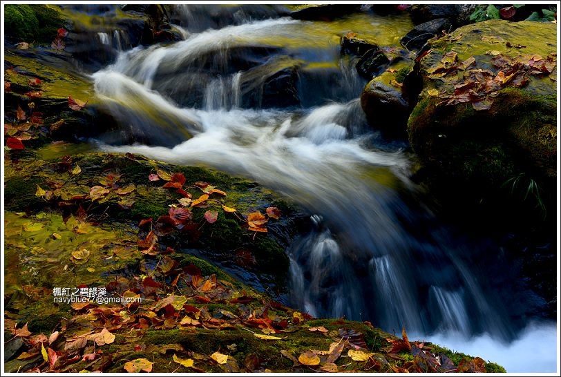 碧綠溪賞楓(下游) 碧綠溪賞楓(下游)
