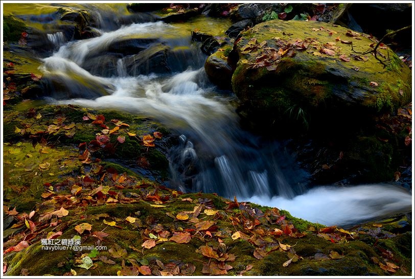 碧綠溪賞楓(下游) 碧綠溪賞楓(下游)