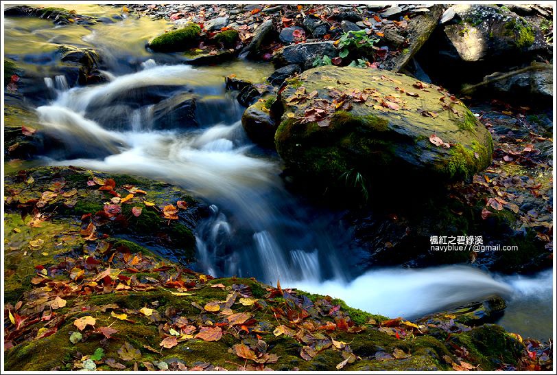 碧綠溪賞楓(下游) 碧綠溪賞楓(下游)