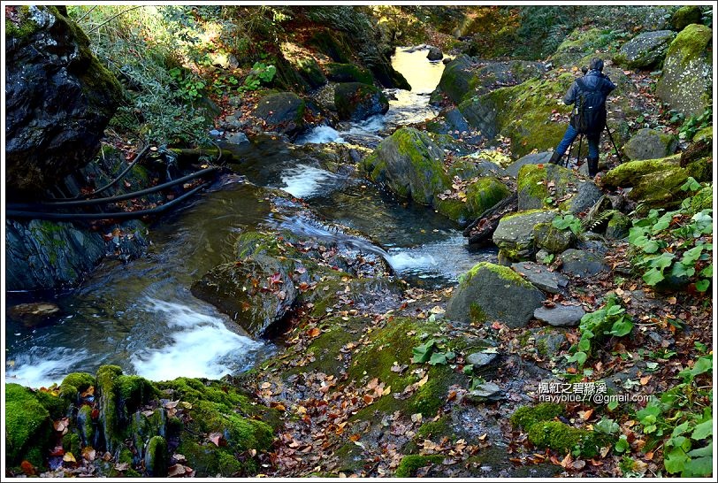 碧綠溪賞楓(下游) 碧綠溪賞楓(下游)
