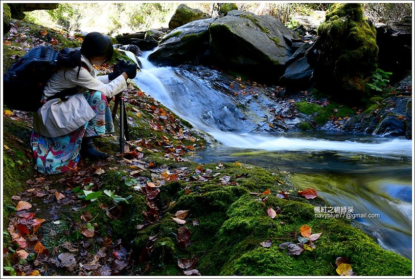 碧綠溪賞楓(下游) 碧綠溪賞楓(下游)