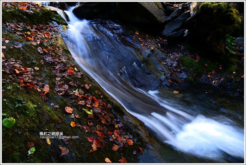碧綠溪賞楓(下游) 碧綠溪賞楓(下游)