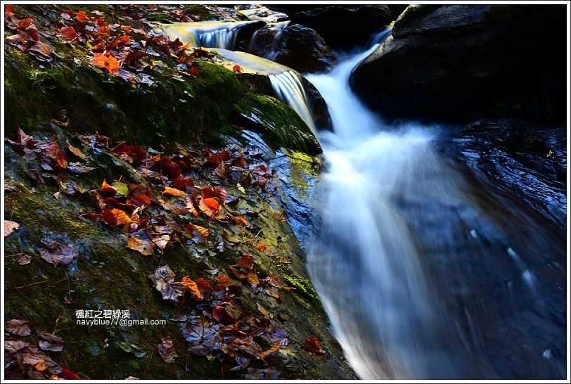 碧綠溪賞楓(下游) 碧綠溪賞楓(下游)