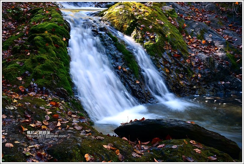 碧綠溪賞楓(下游) 碧綠溪賞楓(下游)