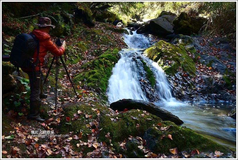 碧綠溪賞楓(下游) 碧綠溪賞楓(下游)