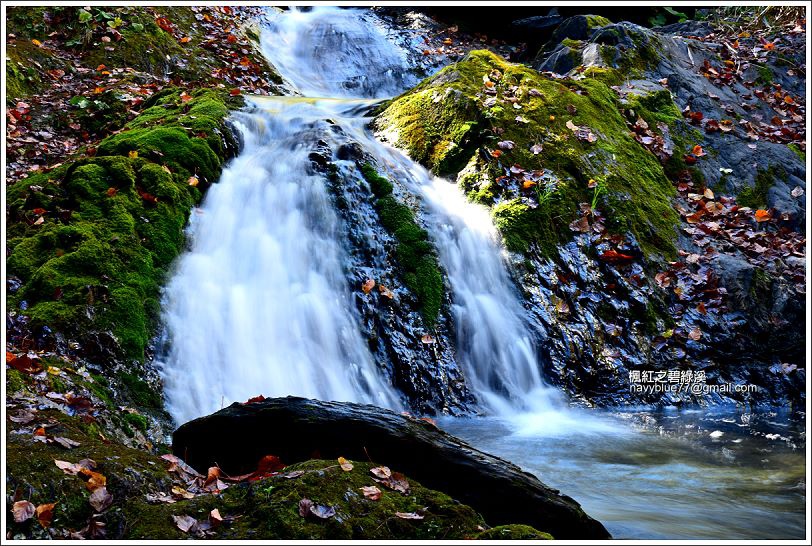 碧綠溪賞楓(下游) 碧綠溪賞楓(下游)