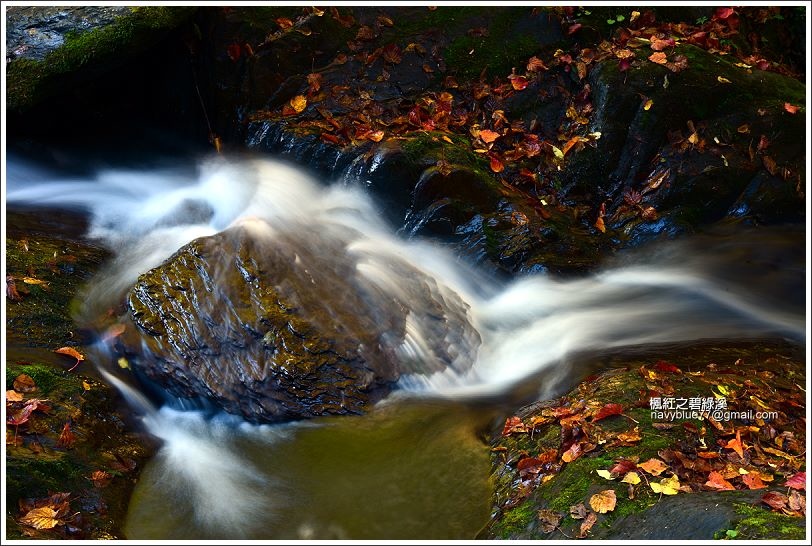 碧綠溪賞楓(下游) 碧綠溪賞楓(下游)