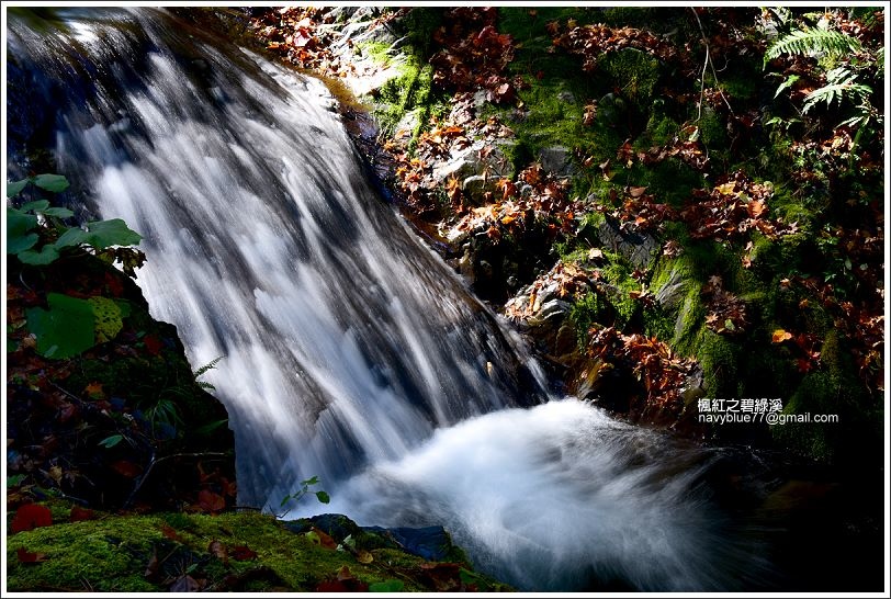 碧綠溪賞楓(下游) 碧綠溪賞楓(下游)