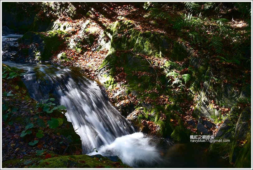 碧綠溪賞楓(下游) 碧綠溪賞楓(下游)