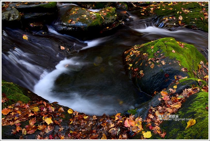 碧綠溪賞楓(下游) 碧綠溪賞楓(下游)