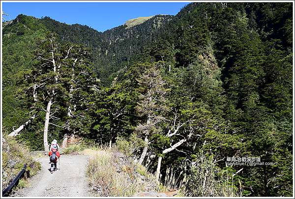 南投 仁愛 華崗合歡溪步道 走入賽德克巴萊的電影場景 飽覽清溪絕崖的山林美境 當白雲飄進藍天