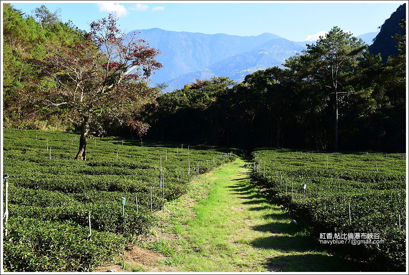 紅香部落帖比倫瀑布峽谷