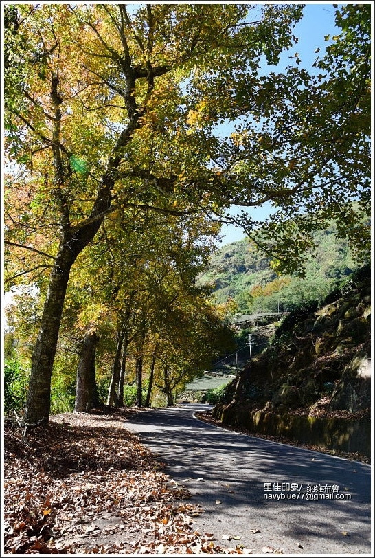 達邦里佳山美 (2).JPG 達邦里佳山美 (2).JPG