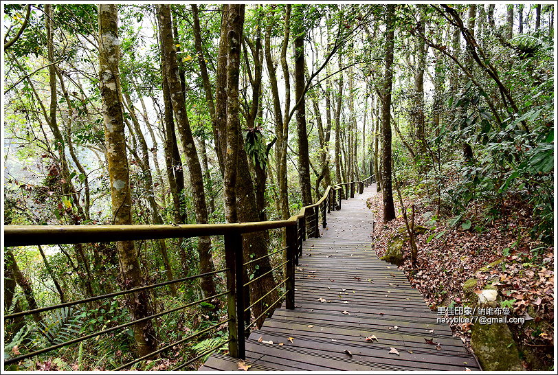 達邦里佳山美 (53).JPG 達邦里佳山美 (53).JPG