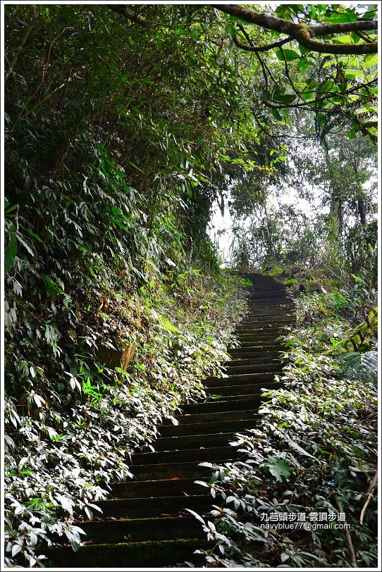 九芎頭雲頂步道