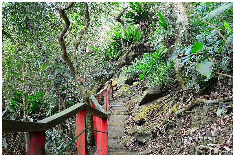 九芎頭雲頂步道