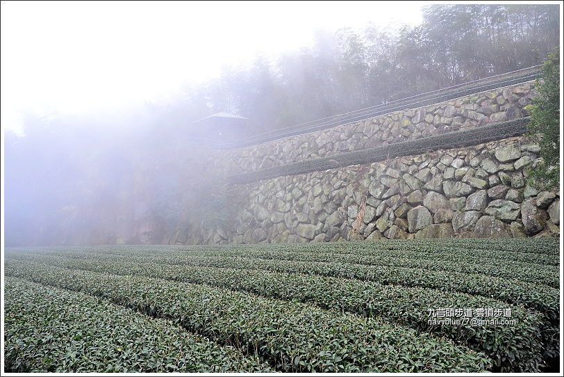 九芎頭雲頂步道