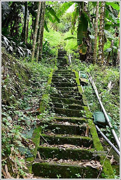 梅山太興飛瀑步道