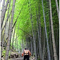 石壁木馬古道-五元二角-雲嶺之丘 (8).JPG