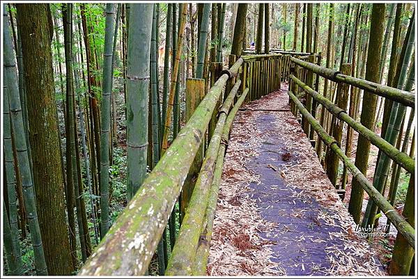 石壁木馬古道-五元二角-雲嶺之丘