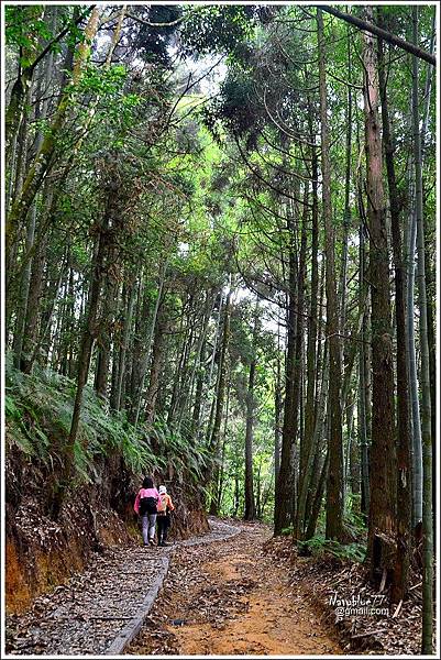 石壁木馬古道-五元二角-雲嶺之丘