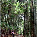 石壁木馬古道-五元二角-雲嶺之丘