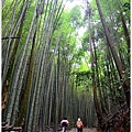 石壁木馬古道-五元二角-雲嶺之丘