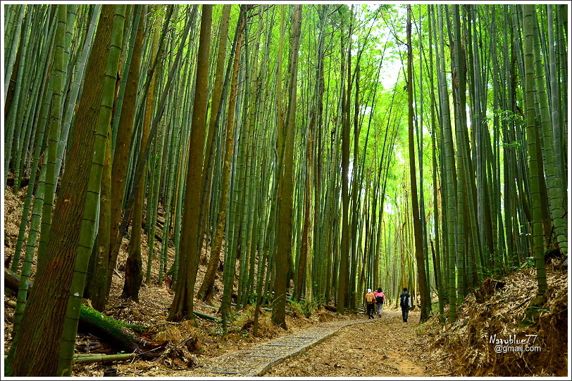 石壁木馬古道-五元二角-雲嶺之丘