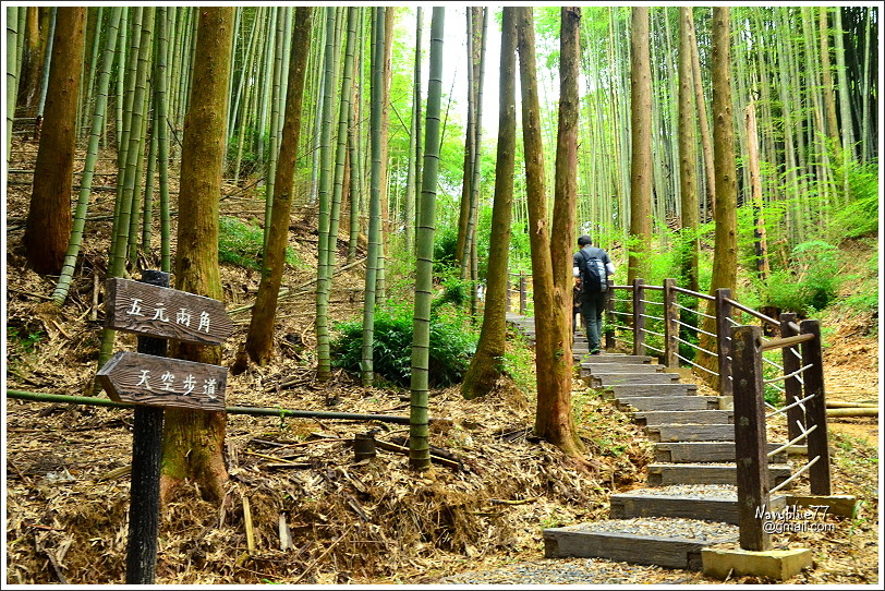 石壁木馬古道-五元二角-雲嶺之丘